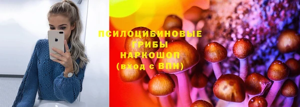 прущие крисы Дмитровск