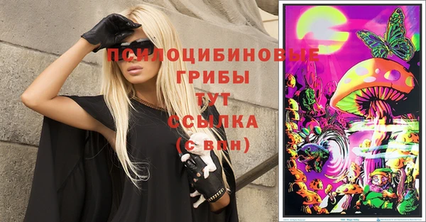 молекула духа Дмитров