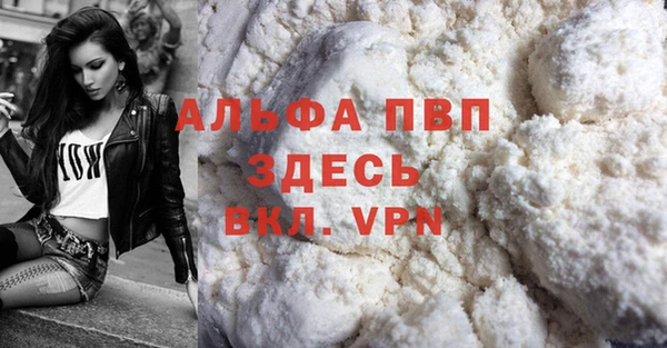 молекула духа Дмитров