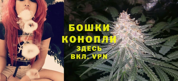 молекула духа Дмитров