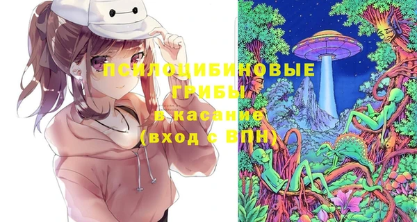 бутират Елабуга