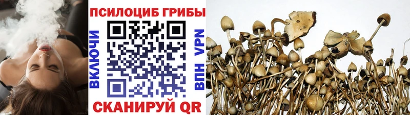 наркотики  Жуковка  МЕГА ссылка  Галлюциногенные грибы Psilocybe 